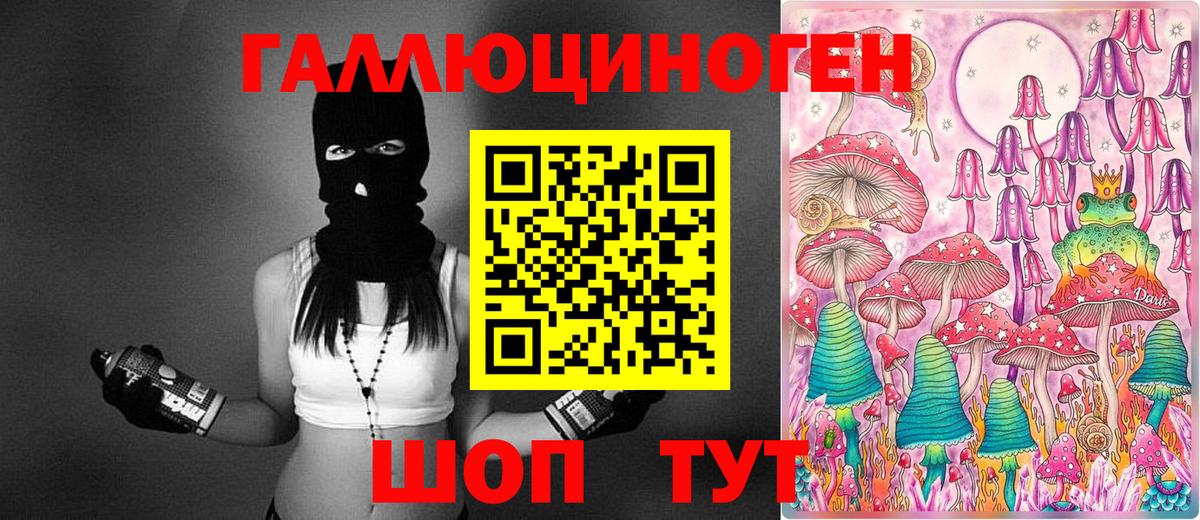 Псилоцибиновые грибы Cubensis Октябрьский